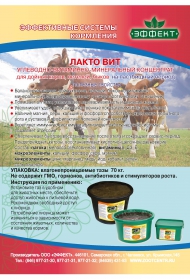 ЛИЗУНЕЦ  ЛАКТО ВИТ  с патокой  для дойных  коров и нетелей  таз 70 кг