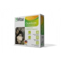 Ошейник Рольф клуб д/собак крупн.пород.3D
