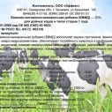 БВМД дойные коровы