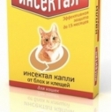 Капли Инсектал д/кошек и собак 2-4кг