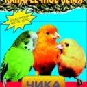 Корм Чика 200г /канареечное семя/ (36)