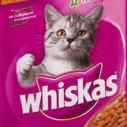 Вискас 85г д/котят телятина/желе  6584