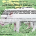 БВМД поросята 2-4 мес.