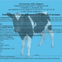 Комбикорм КК-62  стартер (д/телят до 6...