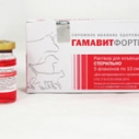 Гамавит форте 10мл