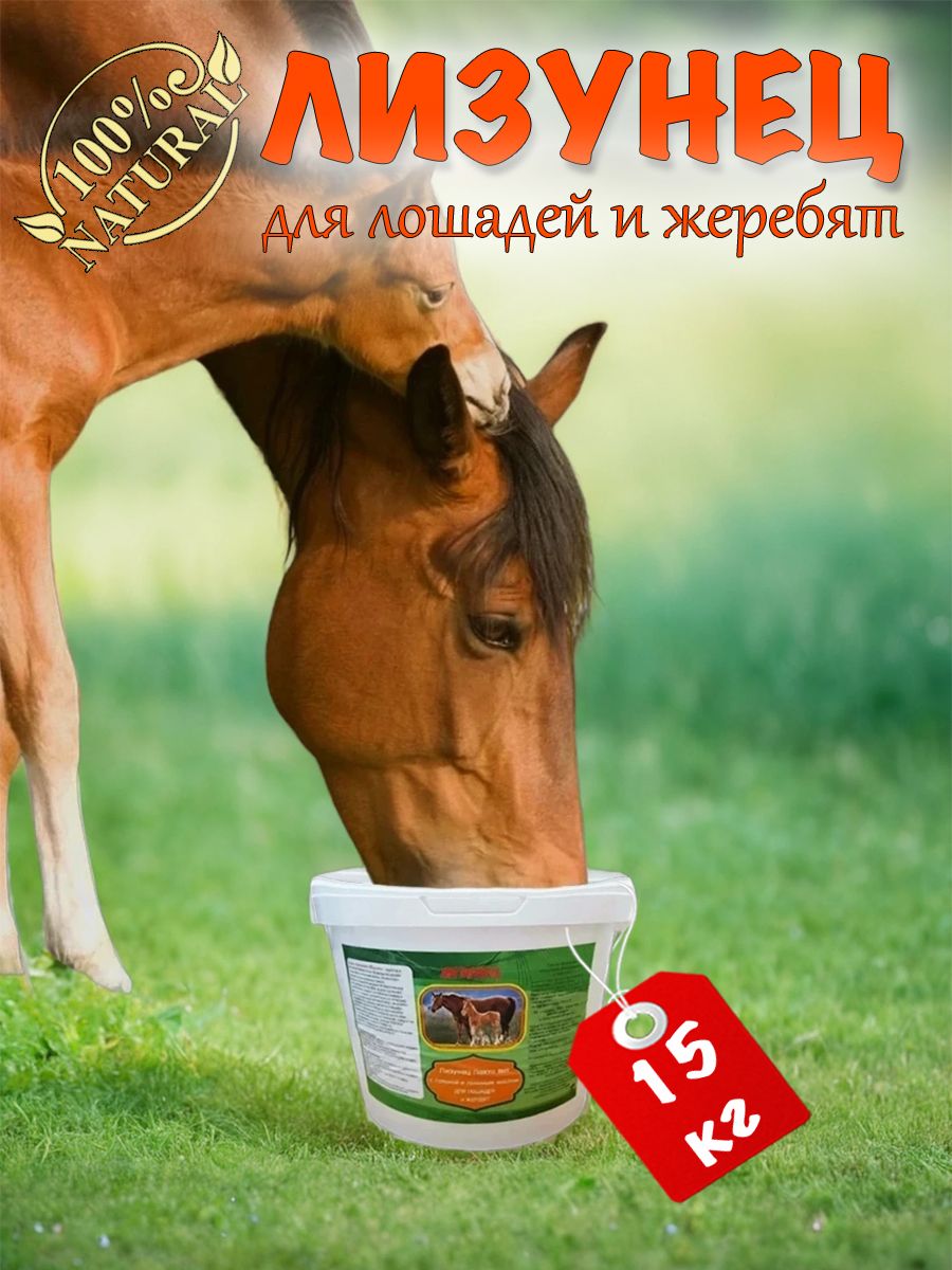 Лизунец для лошадей с льняным маслом 15 кг